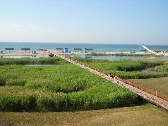 Поездка на Азовское море: где лучше отдыхать с детьми - фото2