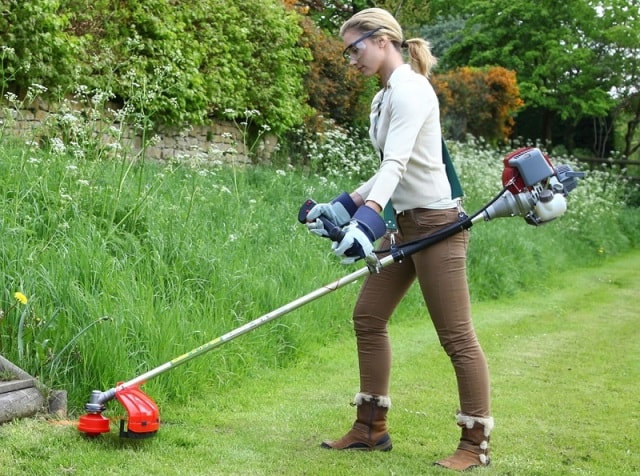Мотокоса или газонокосилка: что выбрать - фото1