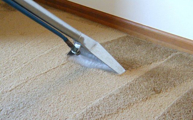 Как почистить ковролин в домашних условиях быстро и эффективно - фото3