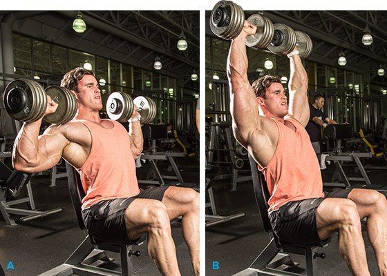 Плечи - упражнения и особенности тренировки - фото1
