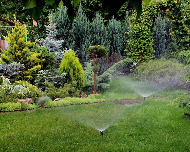 Автоматический полив: что это такое и как работает - фото1