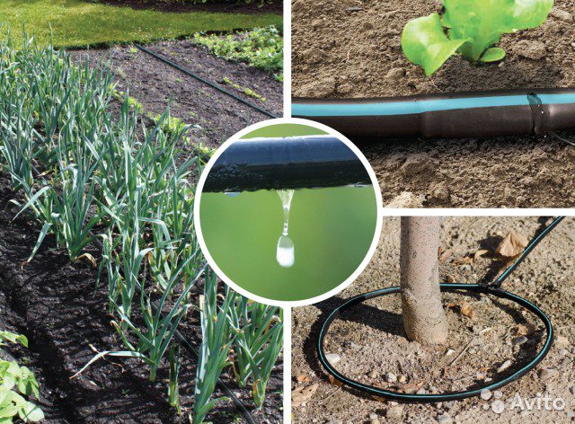 Автоматический полив: что это такое и как работает - фото3
