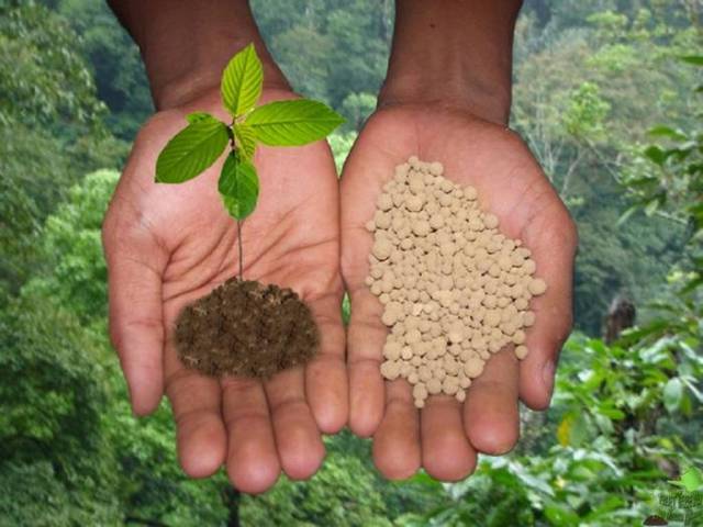 Минеральные удобрения: виды, характеристики, применение - фото3