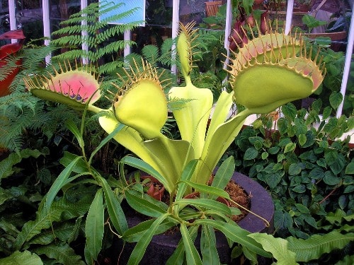 Бизнес планы малого бизнеса с минимальными вложениями - фото 3