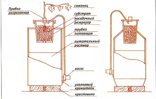 Гидропоника в домашних условиях. Зелень. Своими руками (схема) - фото 2