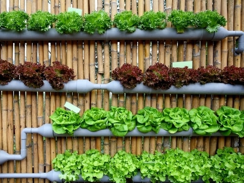 Гидропоника в домашних условиях. Зелень. Своими руками (схема) - фото 5