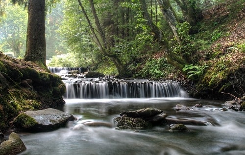 Карпаты, курорты - фото 3