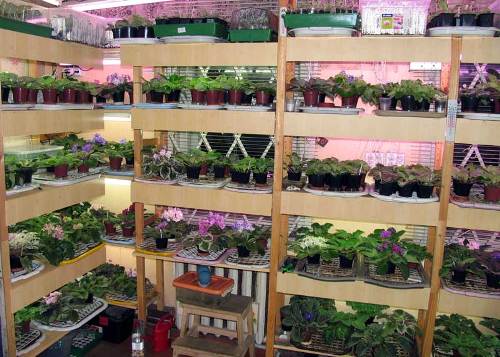 Стеллаж своими руками (варианты) - фото 6