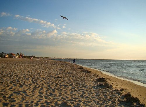 Затока. Фото пляжей - фото 7